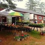 Hubbards Farm Market