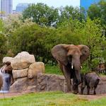 Indianapolis Zoo