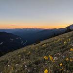 Mount Flora