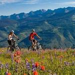 BIKING