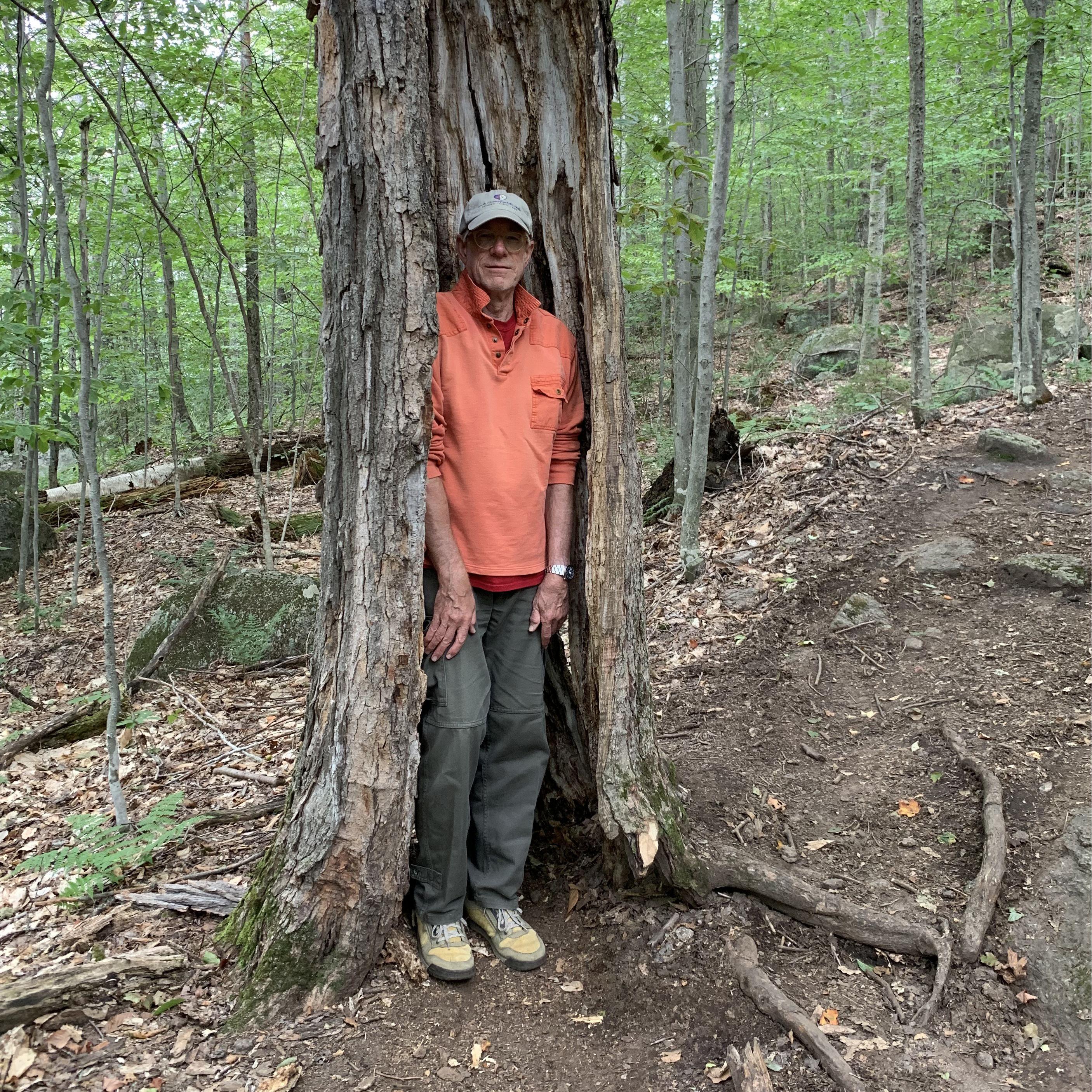 Cozin’ up to an old maple, hiking up Panther Mountain, near Upper  Saranac Lake, 2019