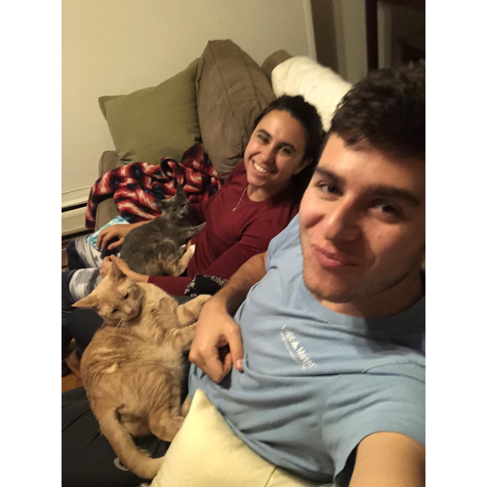 Cozy nights with our (fur) babies, Harvey and Luna