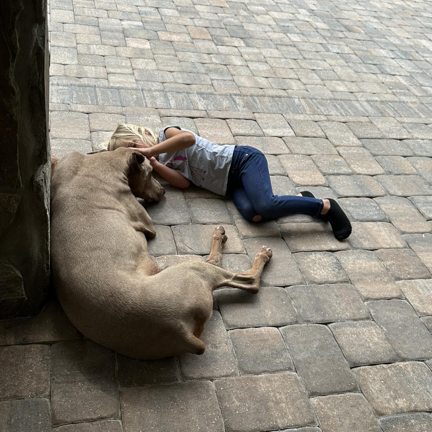 Gwynnie and her personal body guard/Doberman Jack 🥰