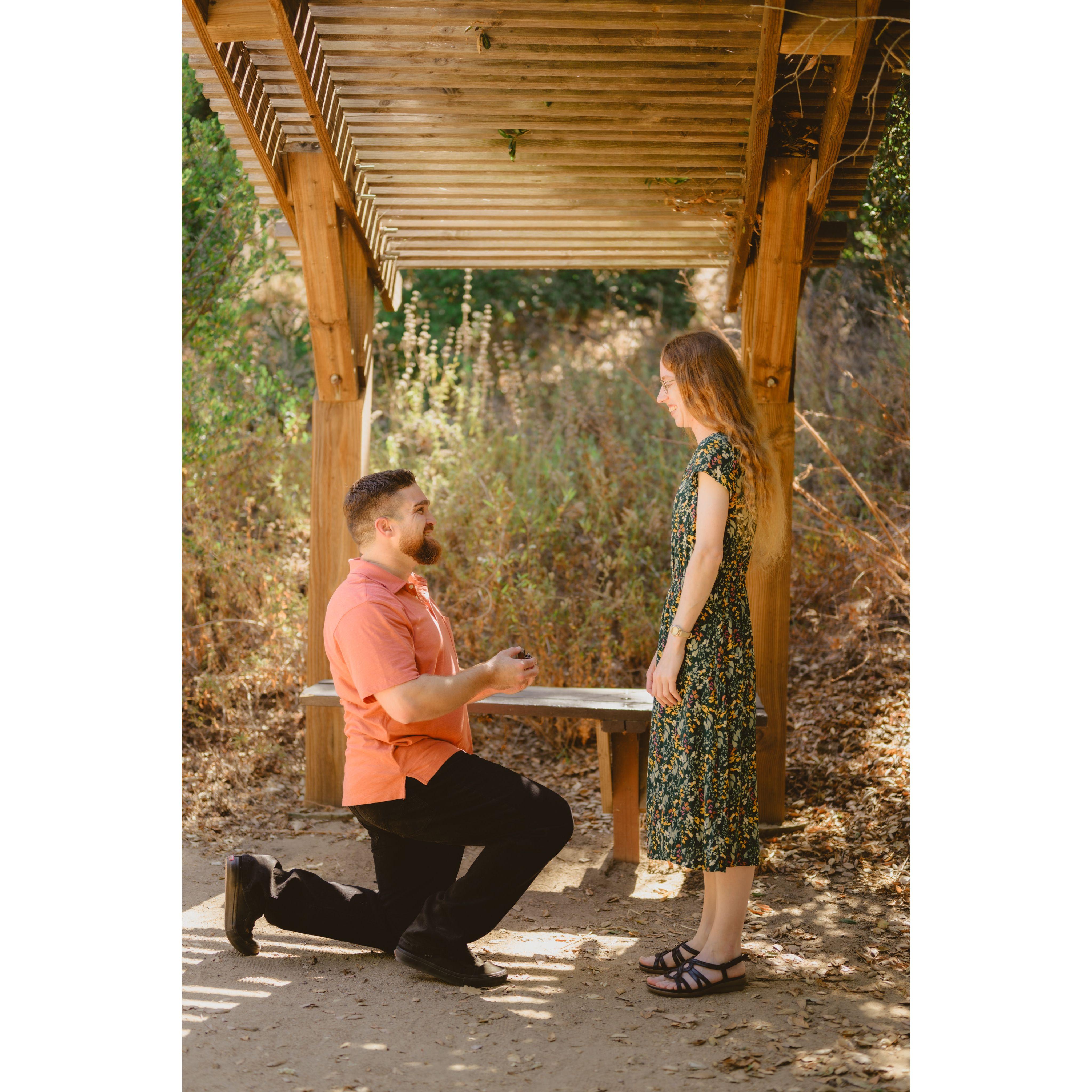 Re-creating the proposal