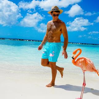 The Flamingos Swim Trunks