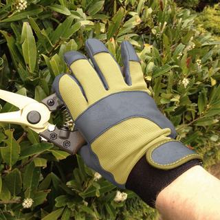 Gold Cut Leather Pruning Glove
