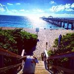 Juno Beach