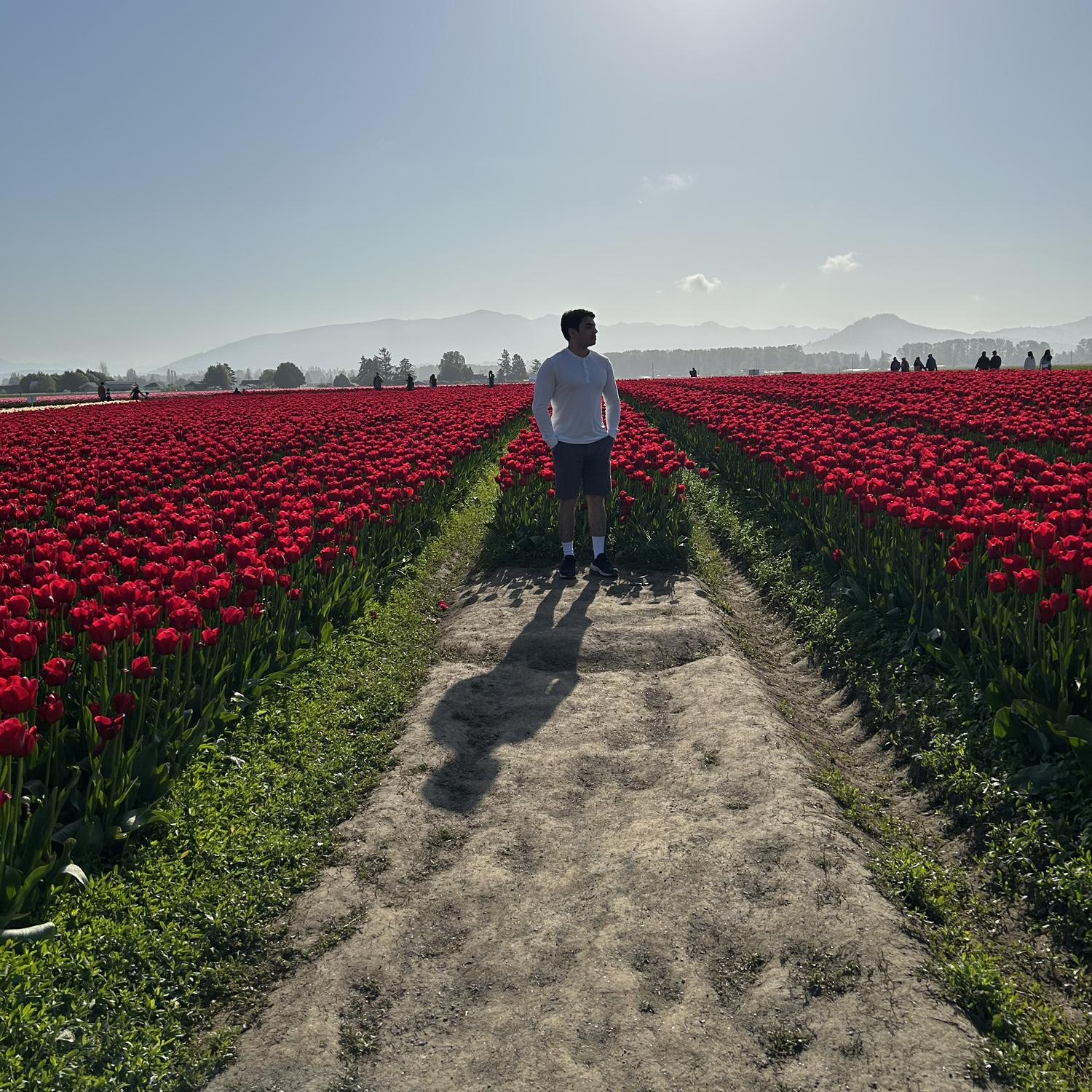 The tulip festival.