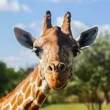 Jacksonville Zoo and Gardens