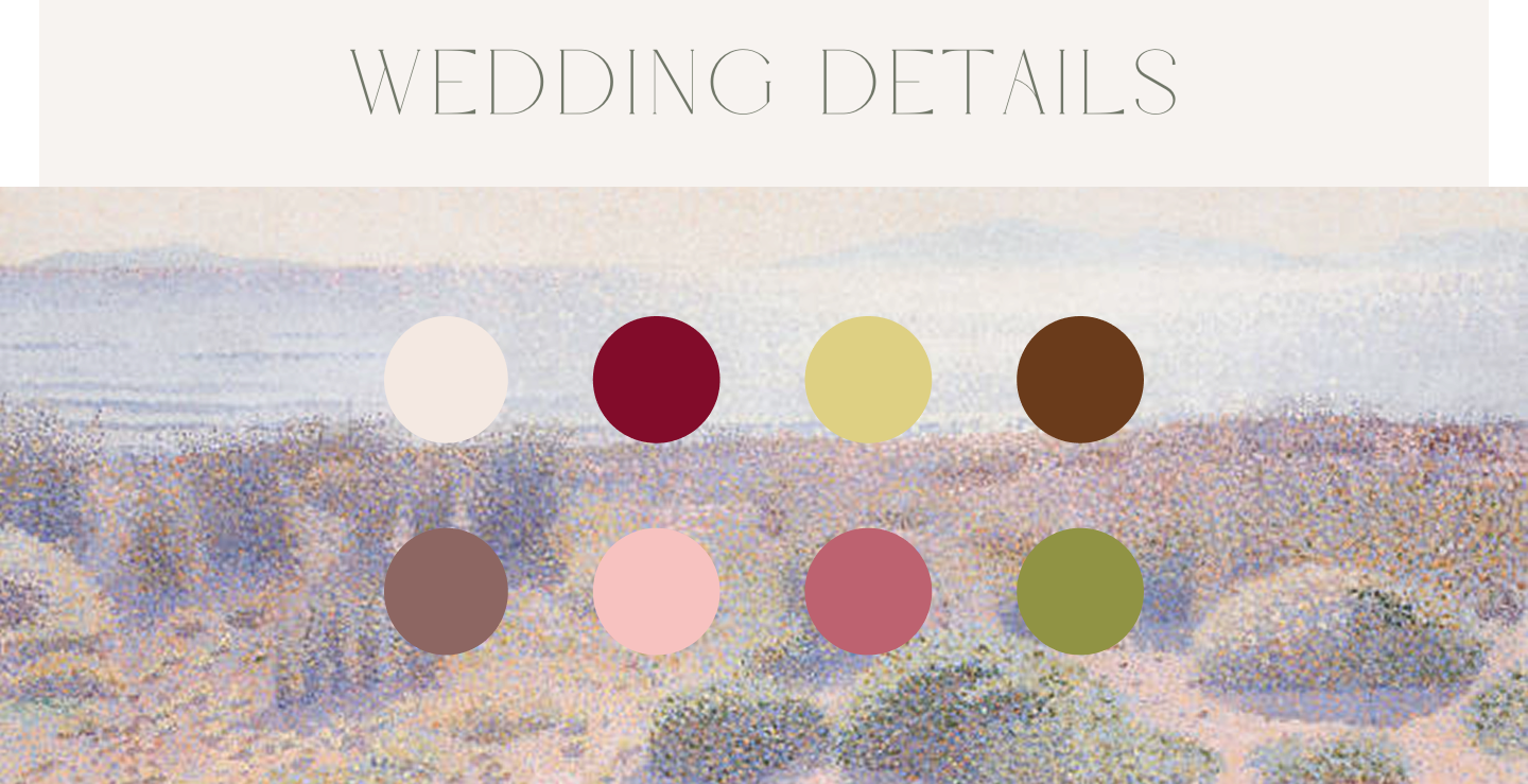 The Wedding Website of Nicole Panday and Saurabh Saluja
