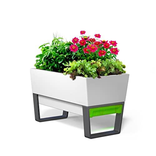 Glowpear Self-Watering Urban Garden Planter