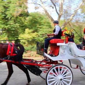 Honeymoon Experience - Central Park Carriage Ride