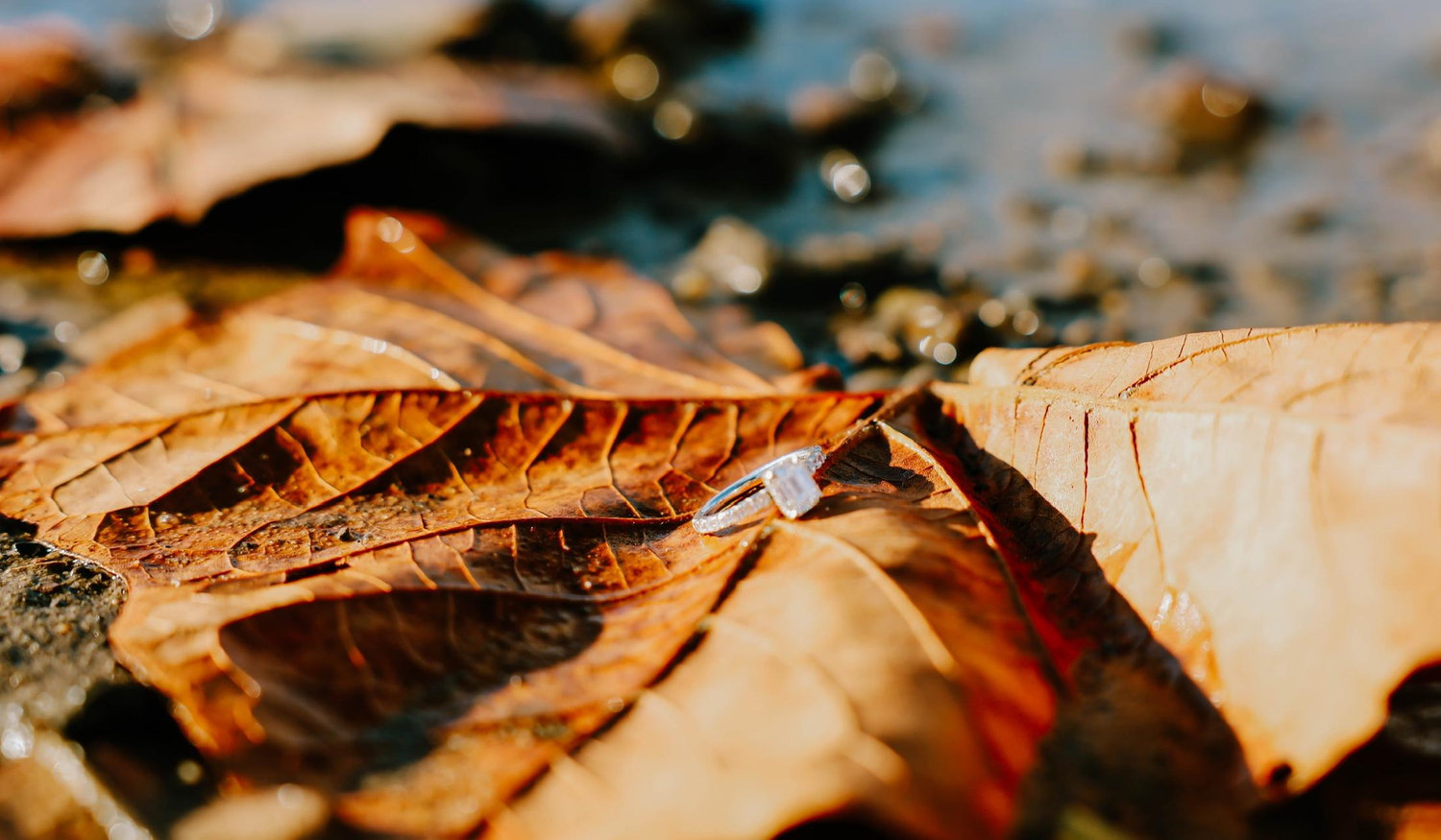 Footer image