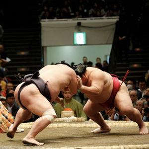 Sumo Wrestling Tickets