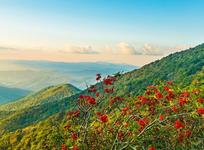 Blue Ridge Parkway