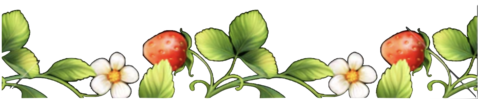 The Wedding Website of Uttej Kallakuri and Aparna Yellapragada