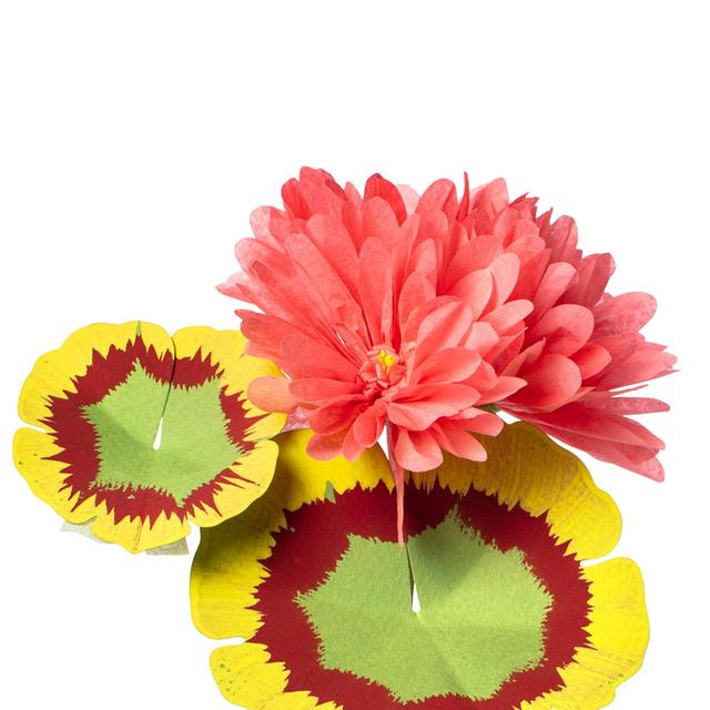 Mini Geranium Plant