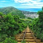 Go Hiking