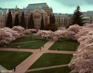 University of Washington