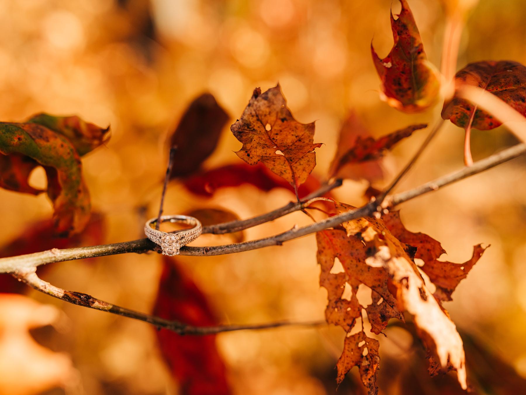 The Wedding Website of Alivia Lucius and Tyler Drown