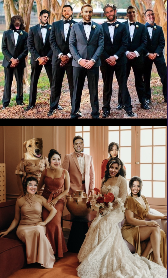 The Wedding Website of Erika Avalos and Jordan Lanksbury