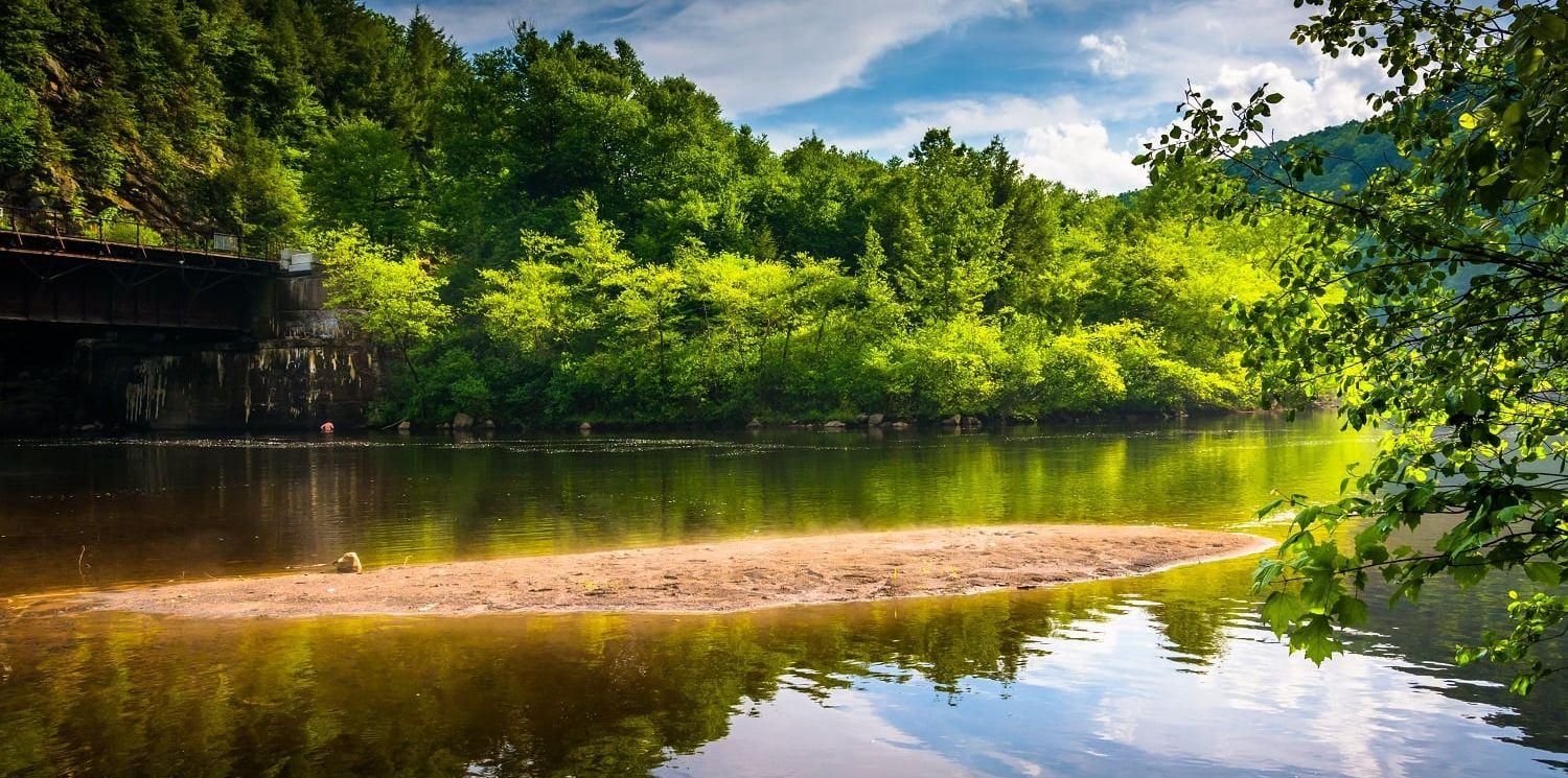 The Wedding Website of Emily Zane and James Libonati