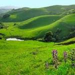 Briones Regional Park