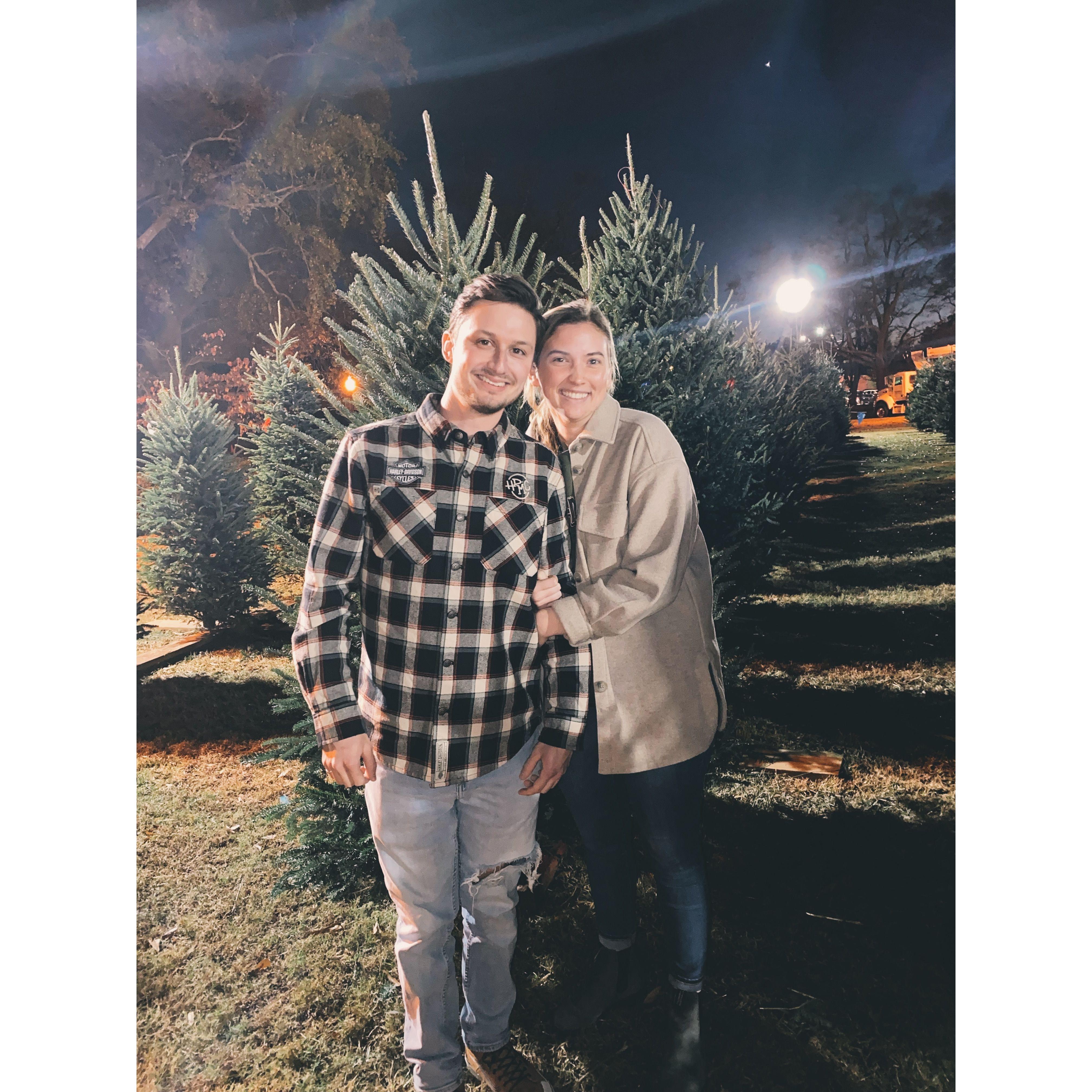 Our first Christmas tree!
