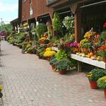 Heaven Hill Farm Garden Center and Farm Market
