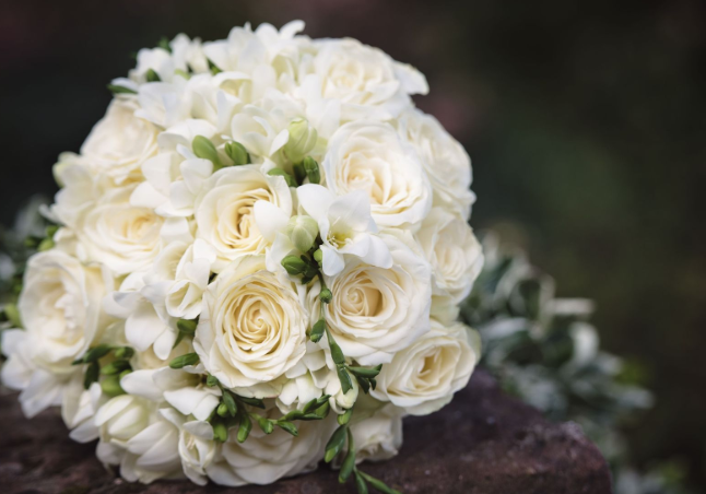The Wedding Website of Rebecca Icelow and Christopher Garcia