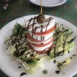 Vilano Grill 180