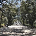 Forsyth Park