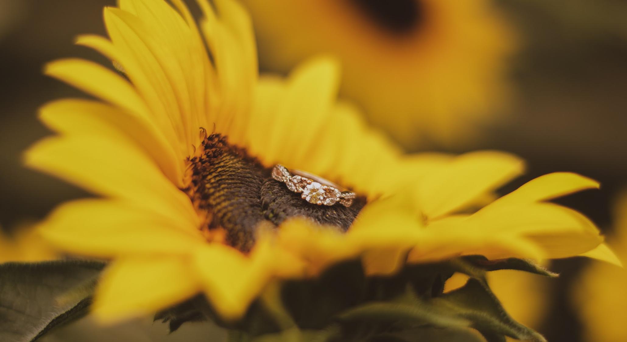 Footer image
