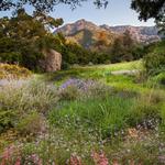 Santa Barbara Botanic Garden