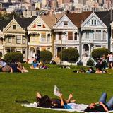 The Painted Ladies