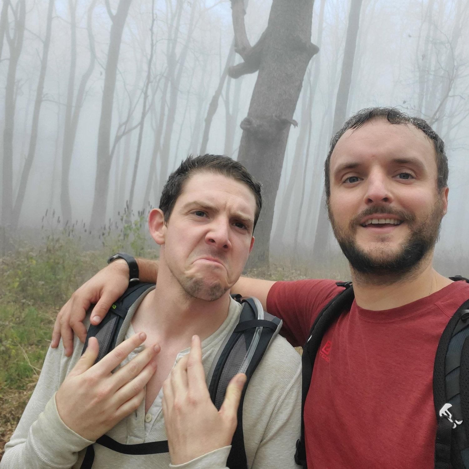 Shenandoah National Park, Virginia