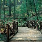 Hiking Guide