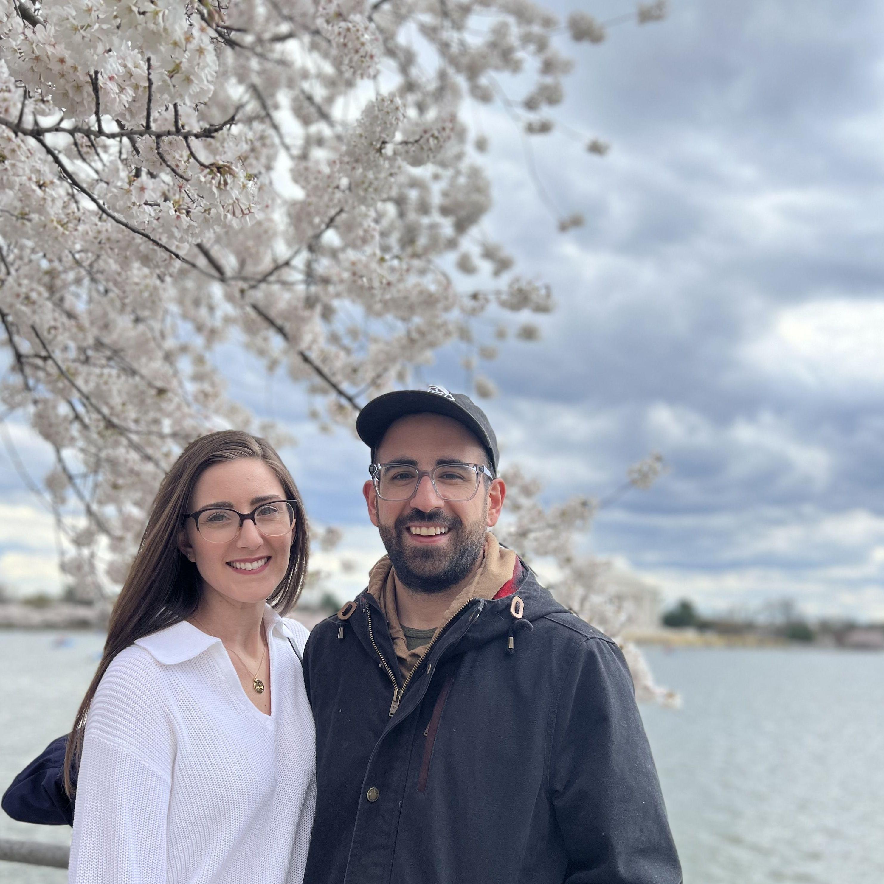 Washington DC Cherry Blossom Festival