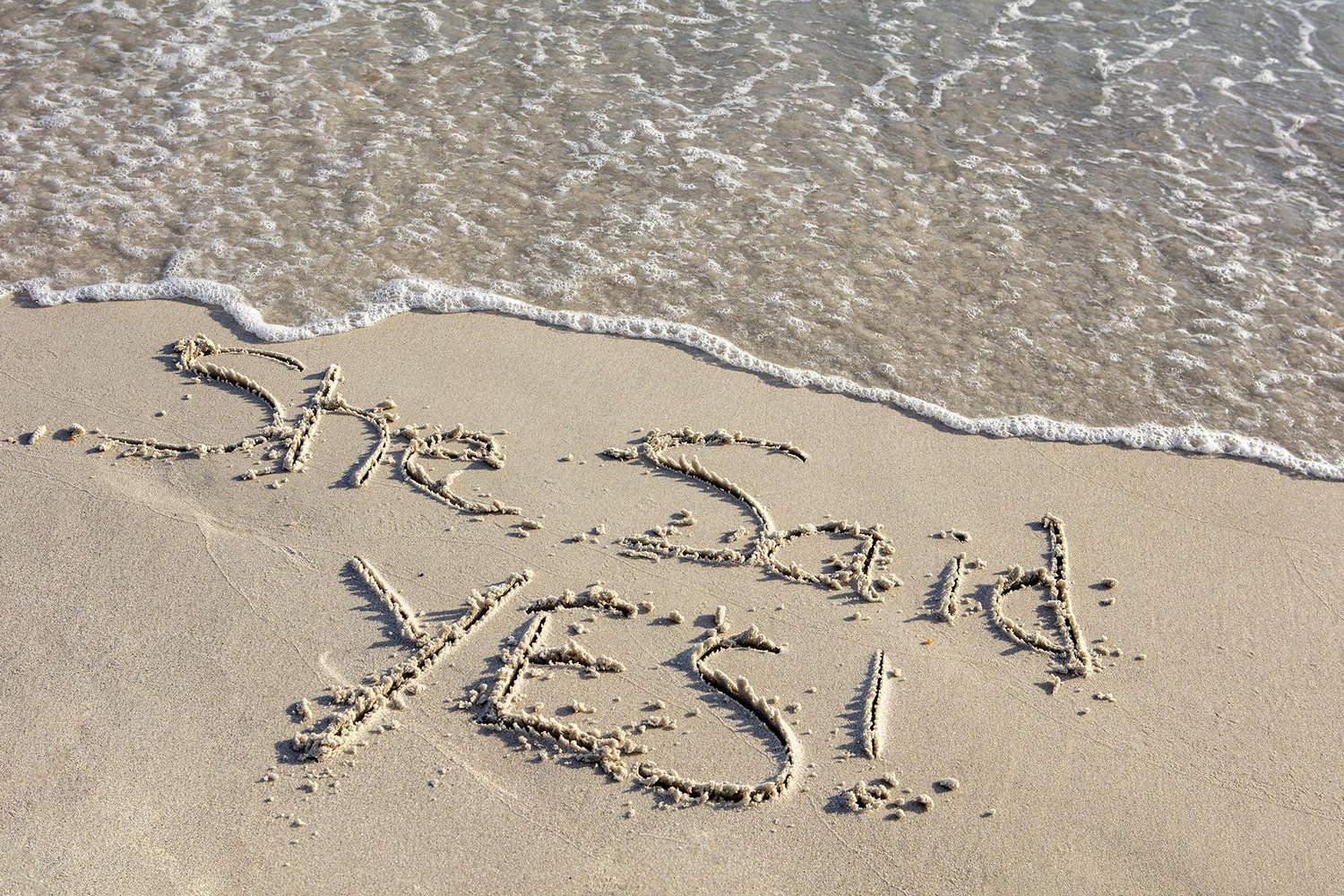 The Wedding Website of Brittany Feroce and Zachary Shybloski