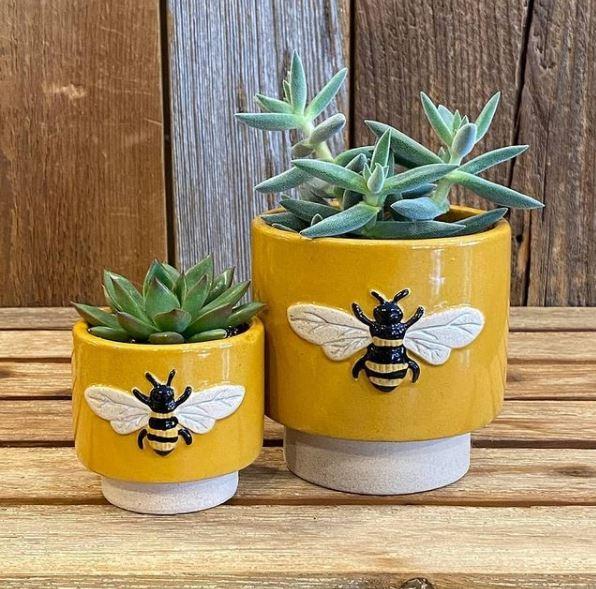 Bumble Bee Pots