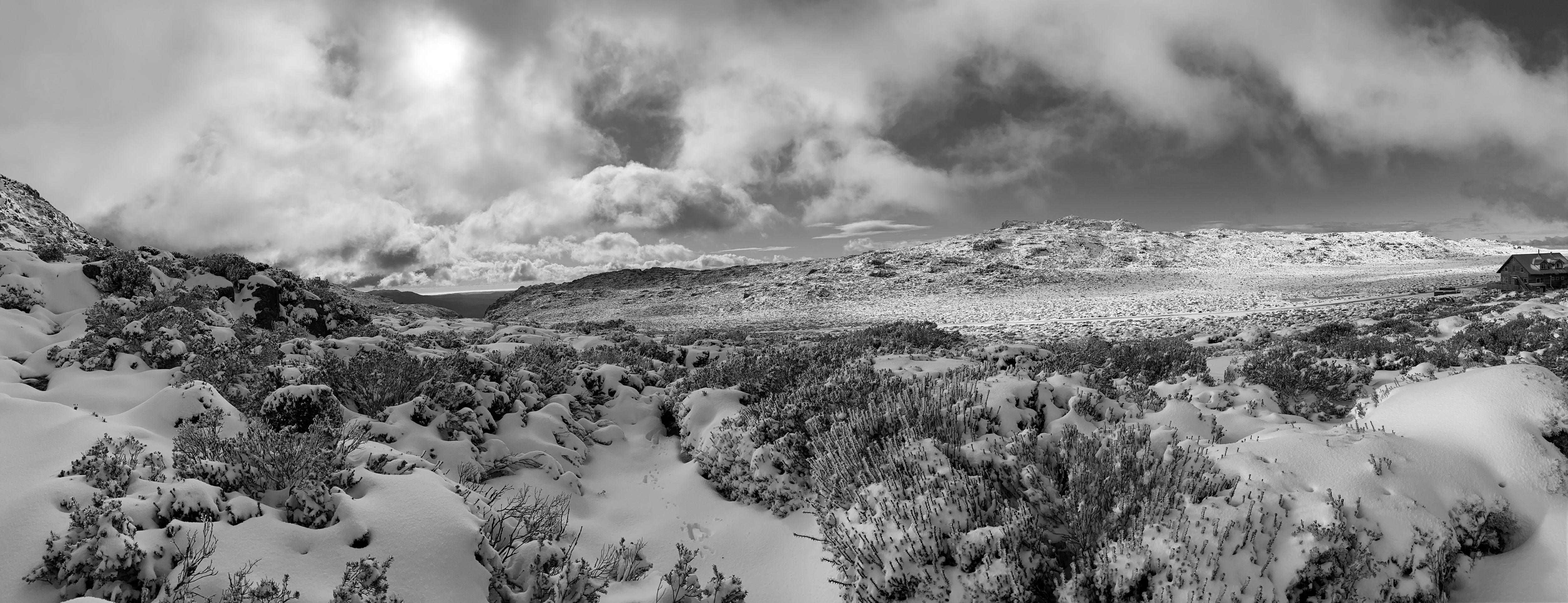 The Wedding Website of Phoebe Foulkes and Dylan Morley