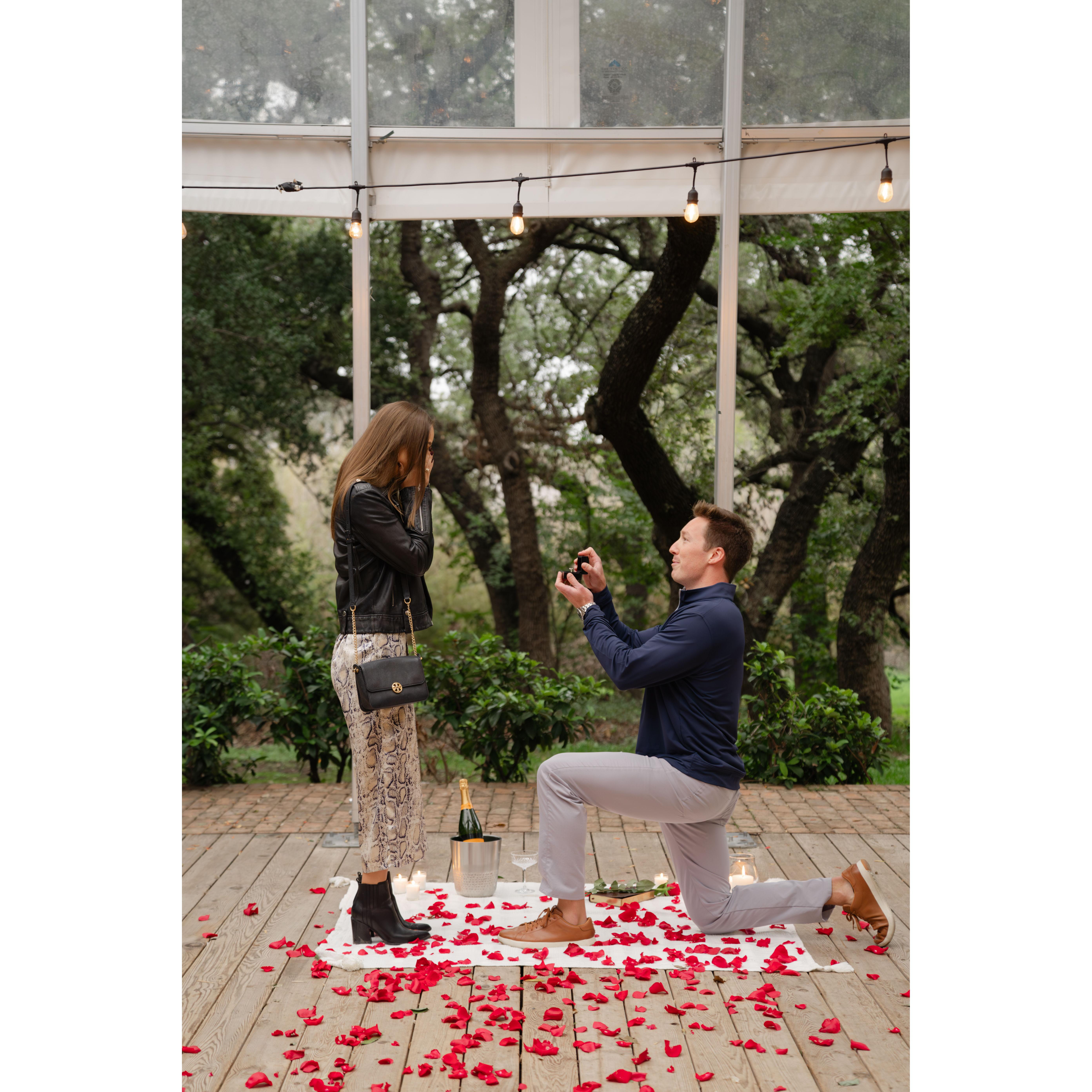 The grand proposal!