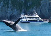 Kenai Fjords Tours