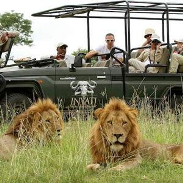 African Safari