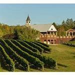 South River Vineyard