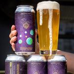 HopFly Brewing Company