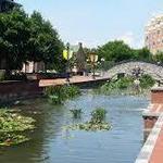 Carroll Creek Park