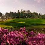 Robert Trent Jones Golf Trail, Ross Bridge