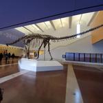 Fort Worth Museum of Science and History - Omni Theater