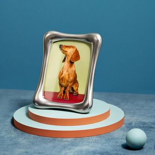 Anton Frame